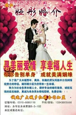 婚介加盟 深入揭秘其盈利模式与真实收益状况